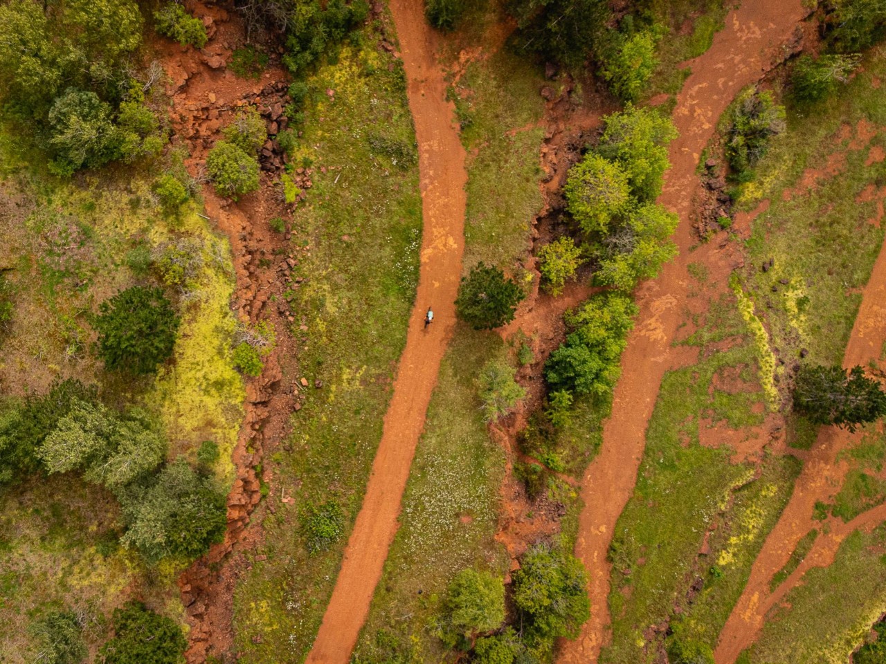 Image - Paysage Minett